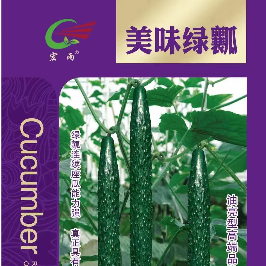 富连农美味绿瓤绿皮绿肉水黄瓜种子