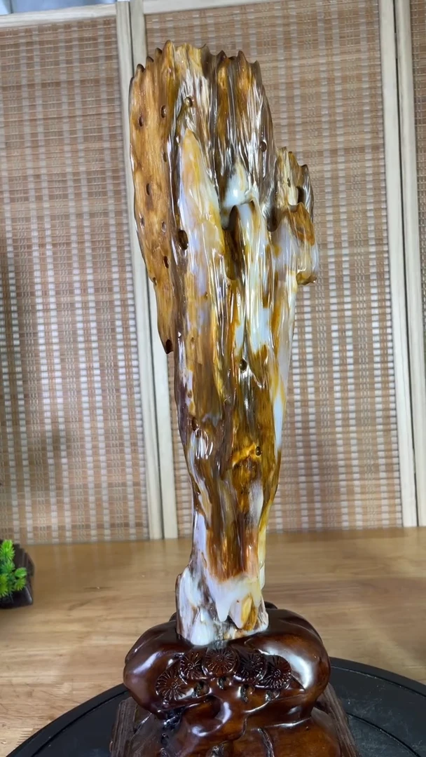 硅化玉珠宝奇石未镶嵌530