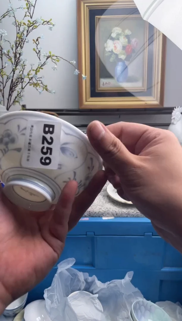 瓷片饭*?259-B-