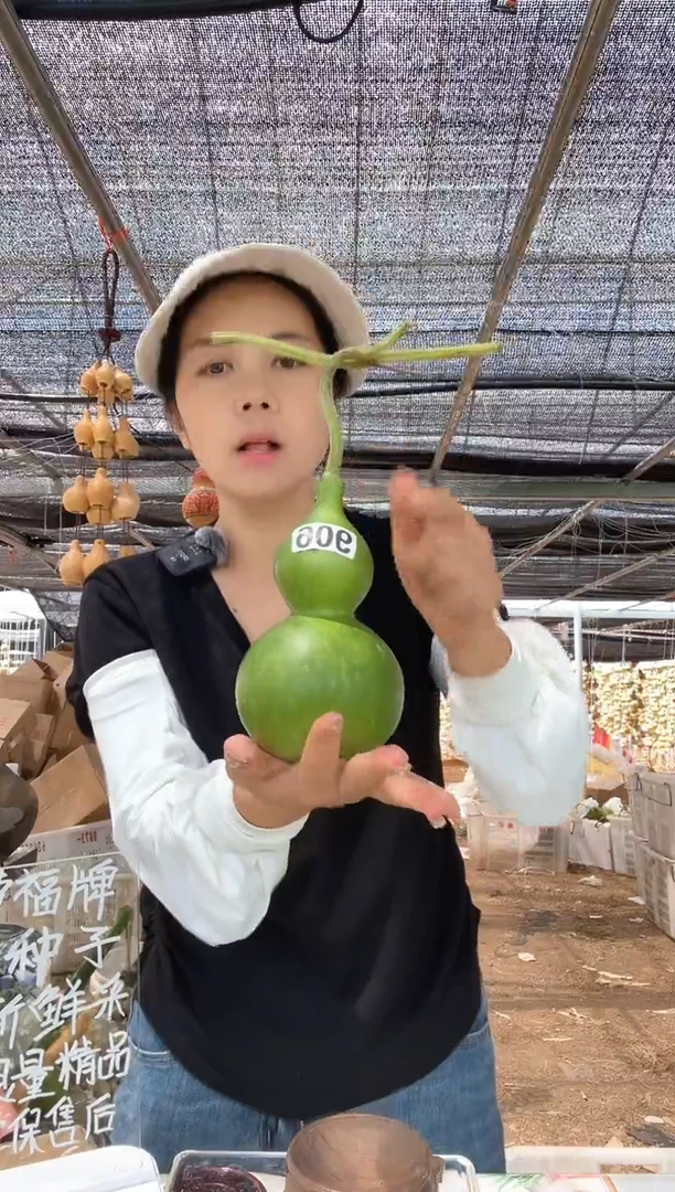 906天然葫芦摆件 一物一拍龙头不保售后
