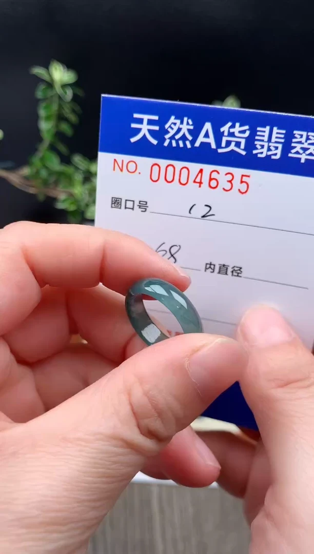 未镶嵌戒指翡翠12#