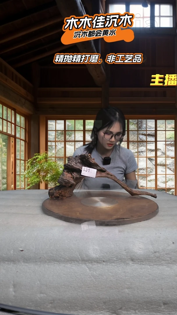 渐**远木木佳鱼缸造景沉木-834