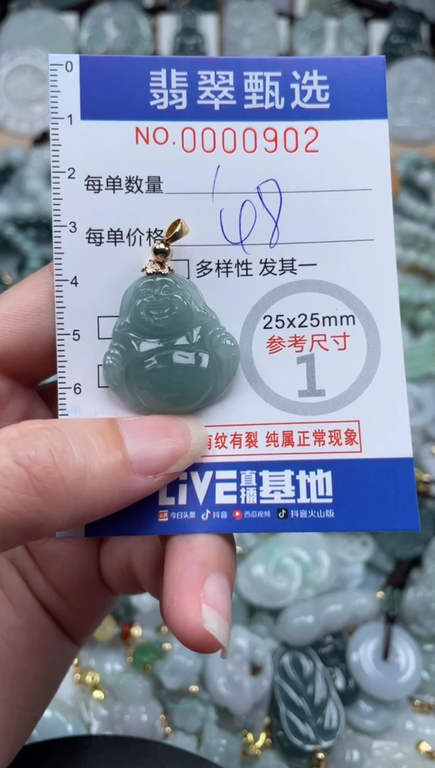 翡翠未镶嵌颈饰00..0902