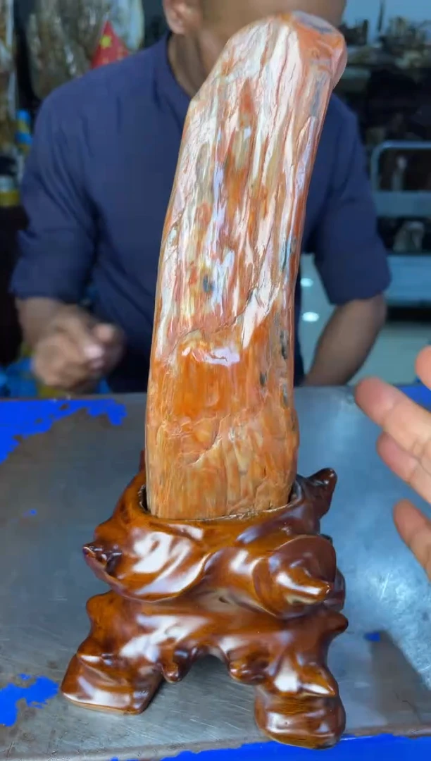 未镶嵌摆件硅化玉61