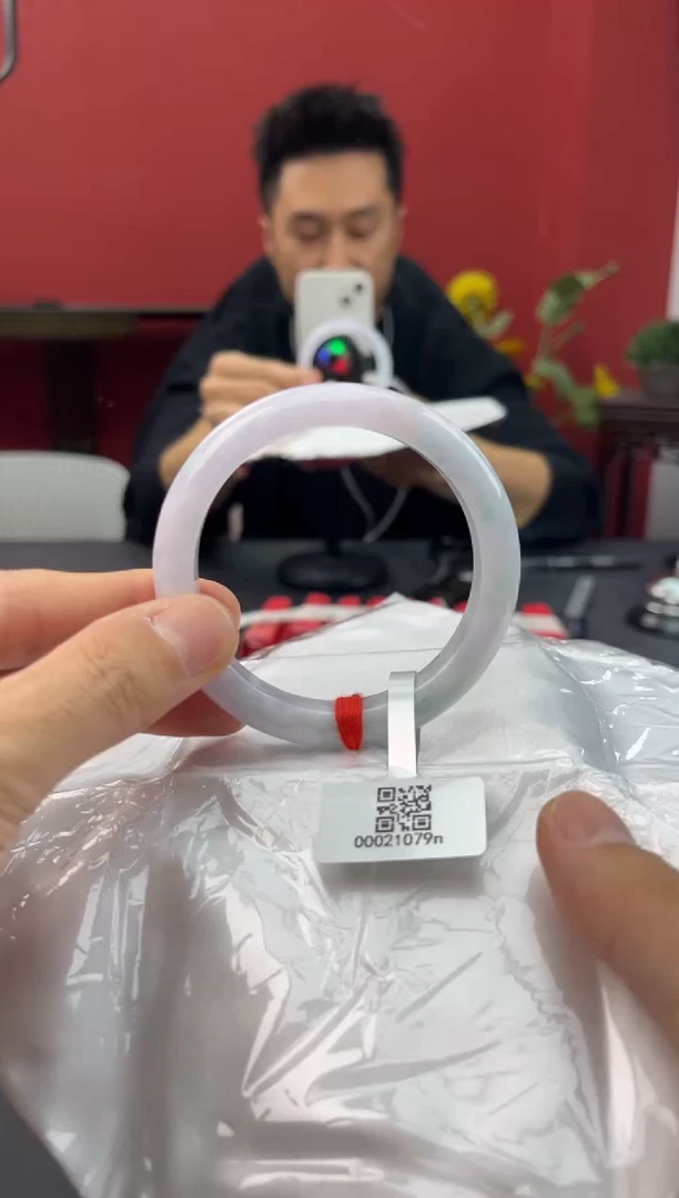 未镶嵌手镯翡翠455