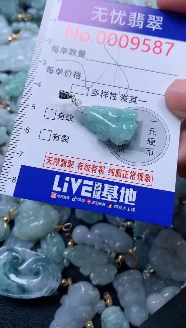 颈饰未镶嵌翡翠9587