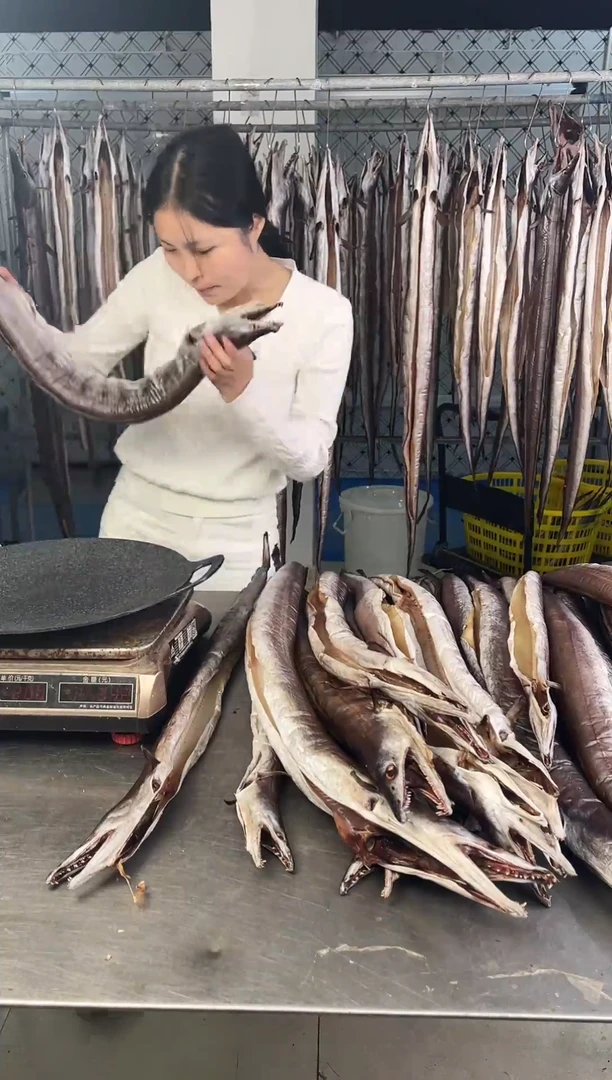 中国大陆2.4斤单托内港风鳗