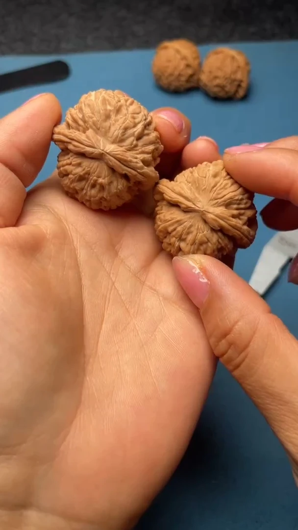 桃核把件w206  白狮子35尺