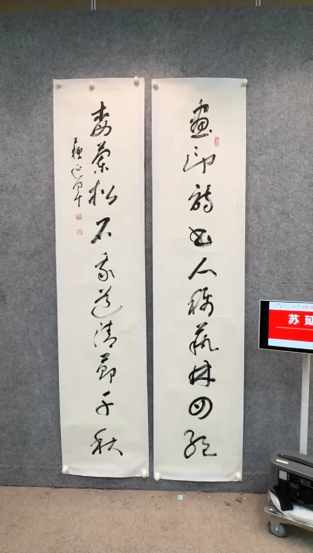 【闪购商品】书法sf不二轩书法作品syj16