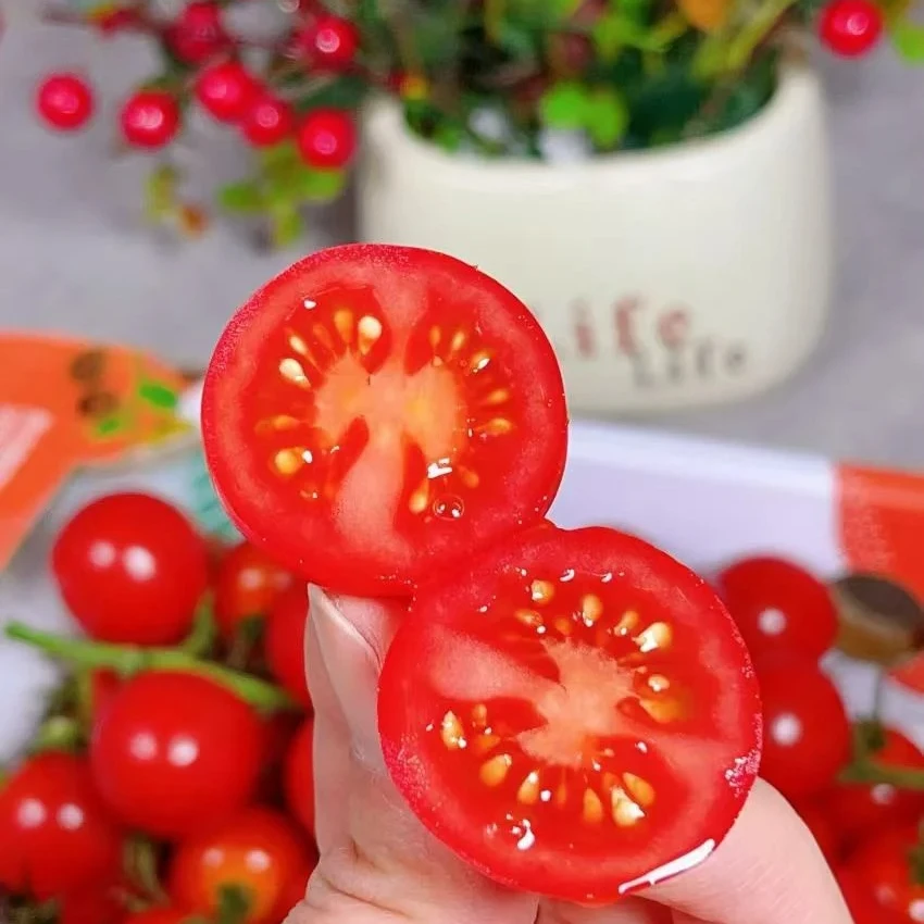 釜山88玲珑小柿子一箱净重2斤新鲜水果云南省