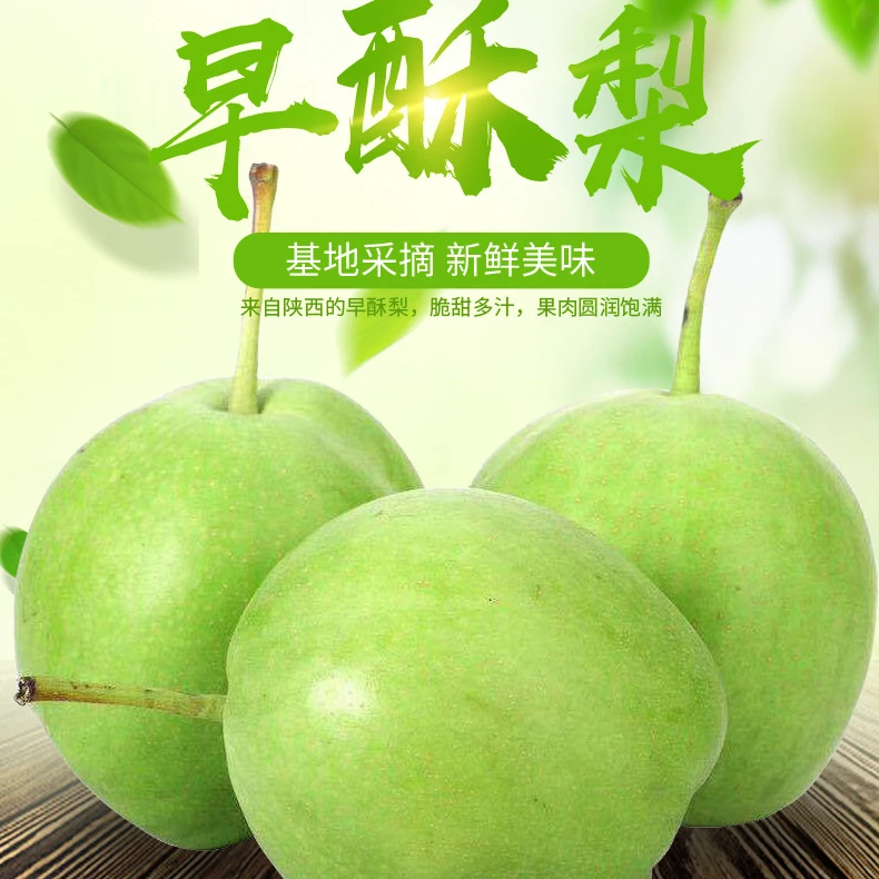 头茬现摘新鲜早酥梨当季应季水果酸甜脆爽可口
