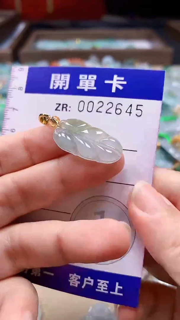颈饰未镶嵌翡翠翡翠A货 多样性发其一（不含链）