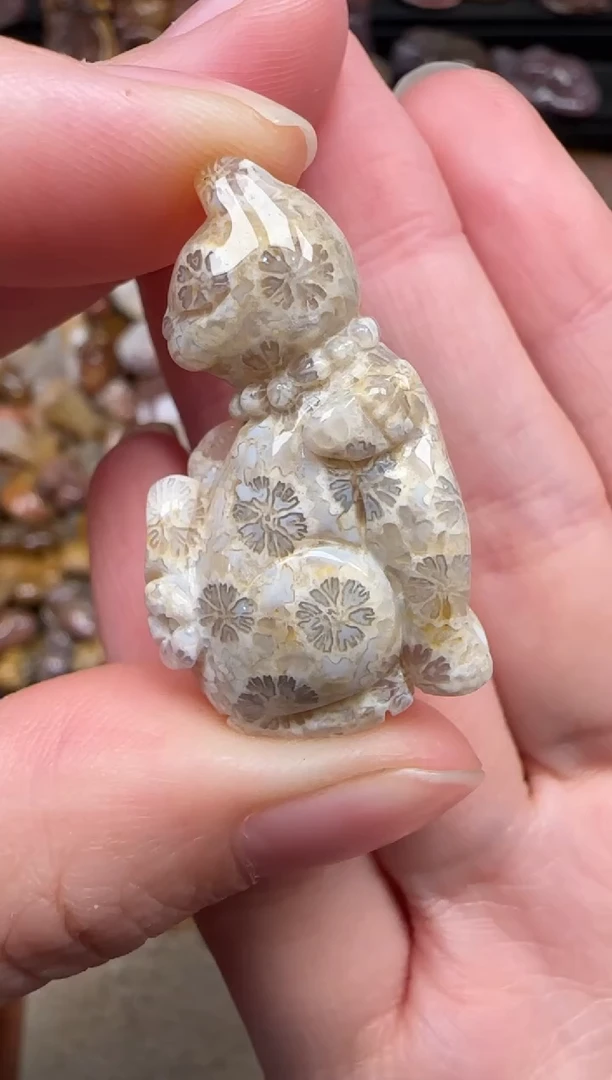 颈饰未镶嵌硅化珊瑚（珊瑚玉）841