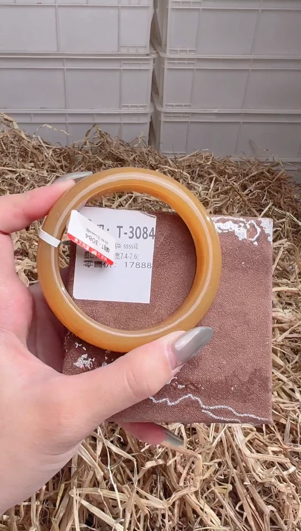 未镶嵌手镯石英质玉T3084
