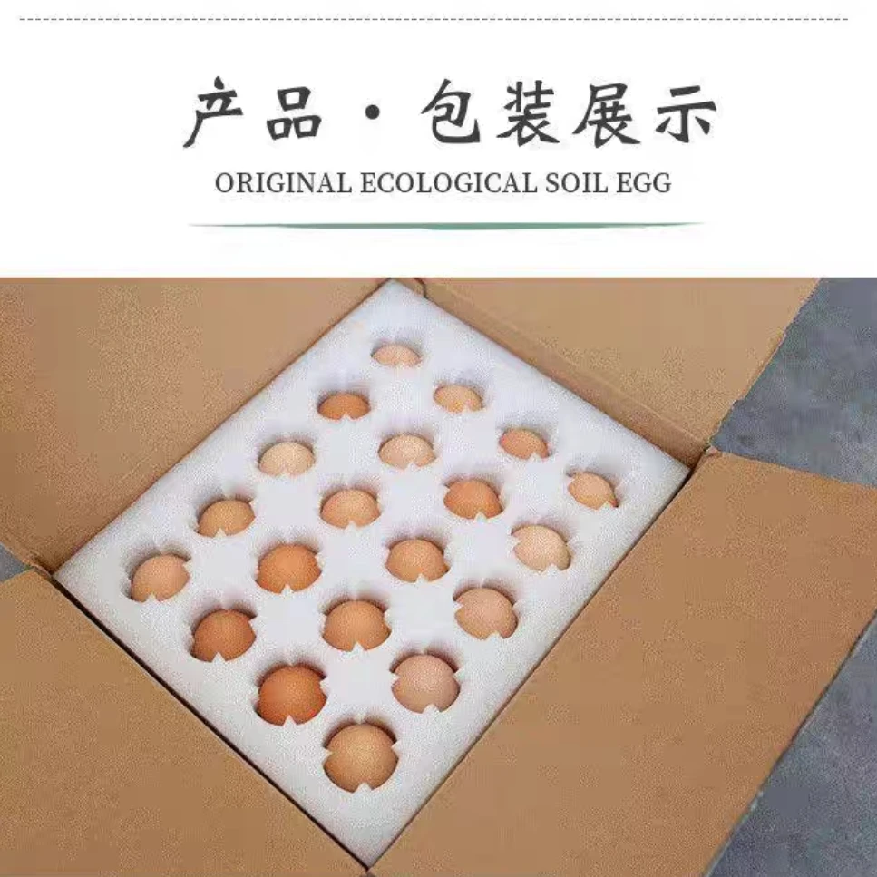 买十送五 鸡蛋托 元宝鸡种蛋受精蛋托 可孵化鸡蛋蛋托