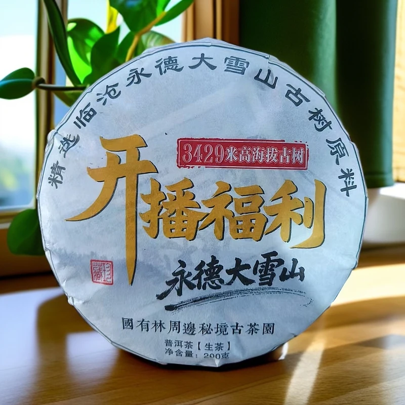 临沧产区2024年永德大雪山【开播福利】3429米海拔200克饼茶