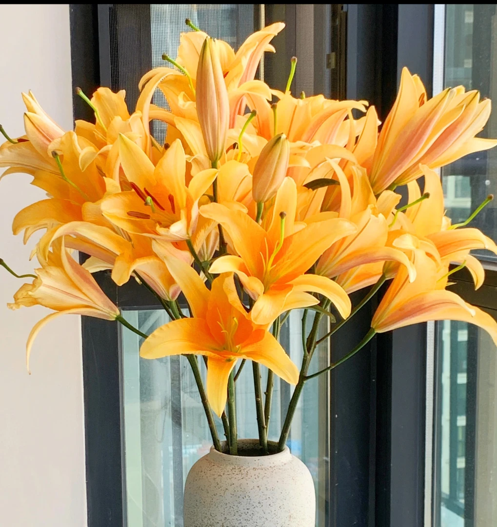 【晚霞】百合鲜切花 全场任意两单顺丰/京东