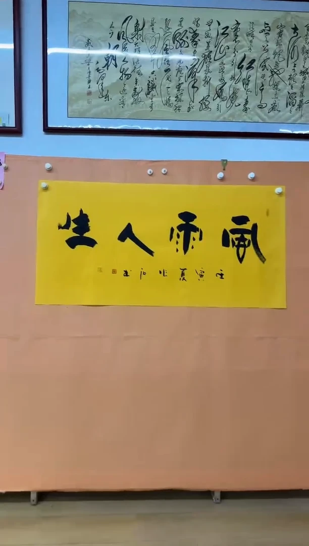 书法风雨人生作品