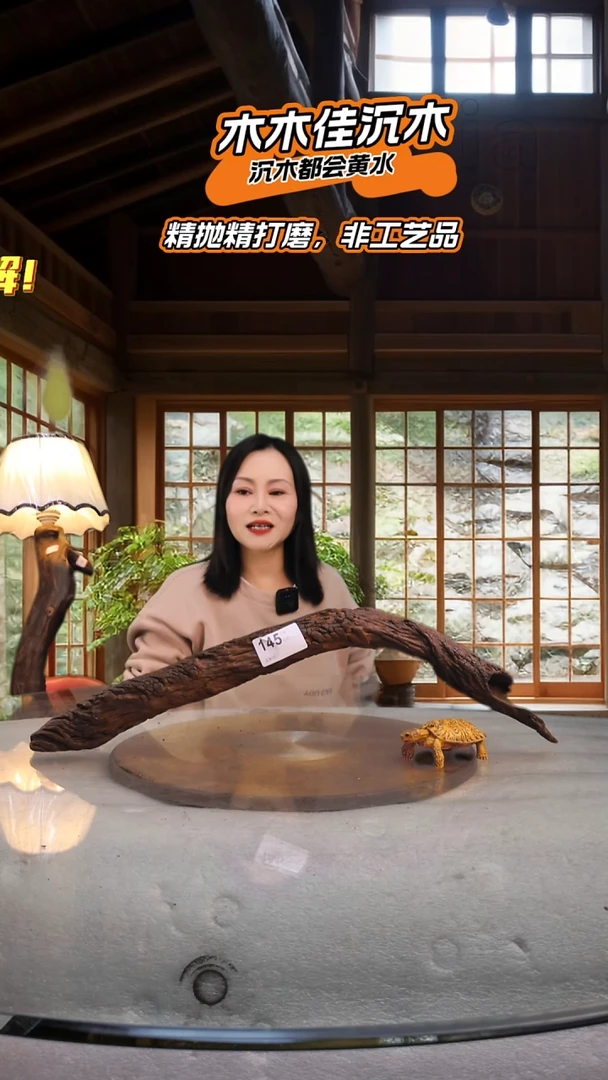 未***.木木佳沉木鱼缸造景145