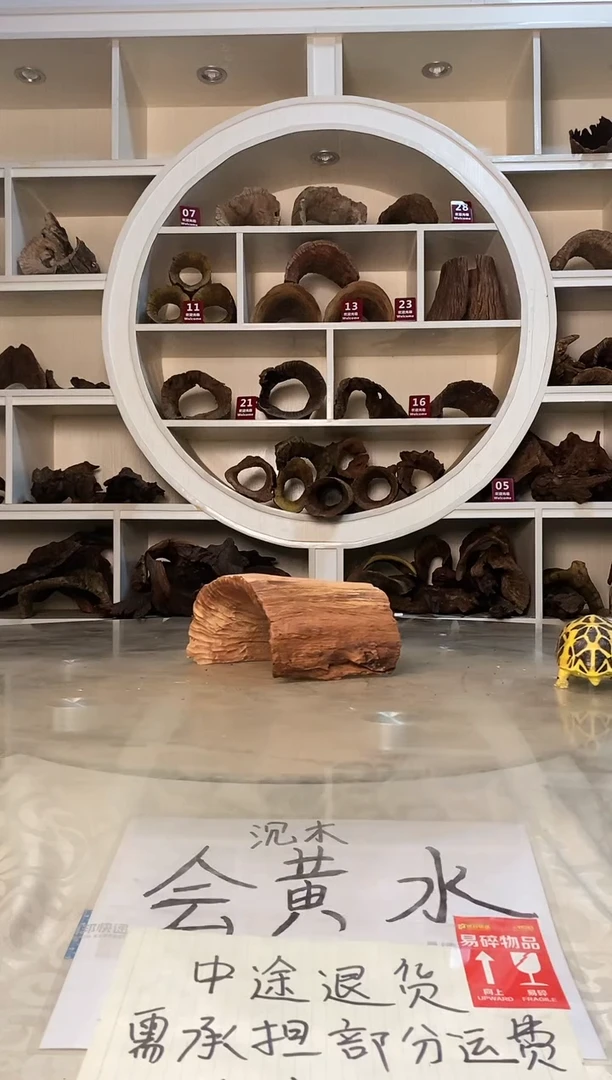 快****y鱼缸爬宠造景素材773