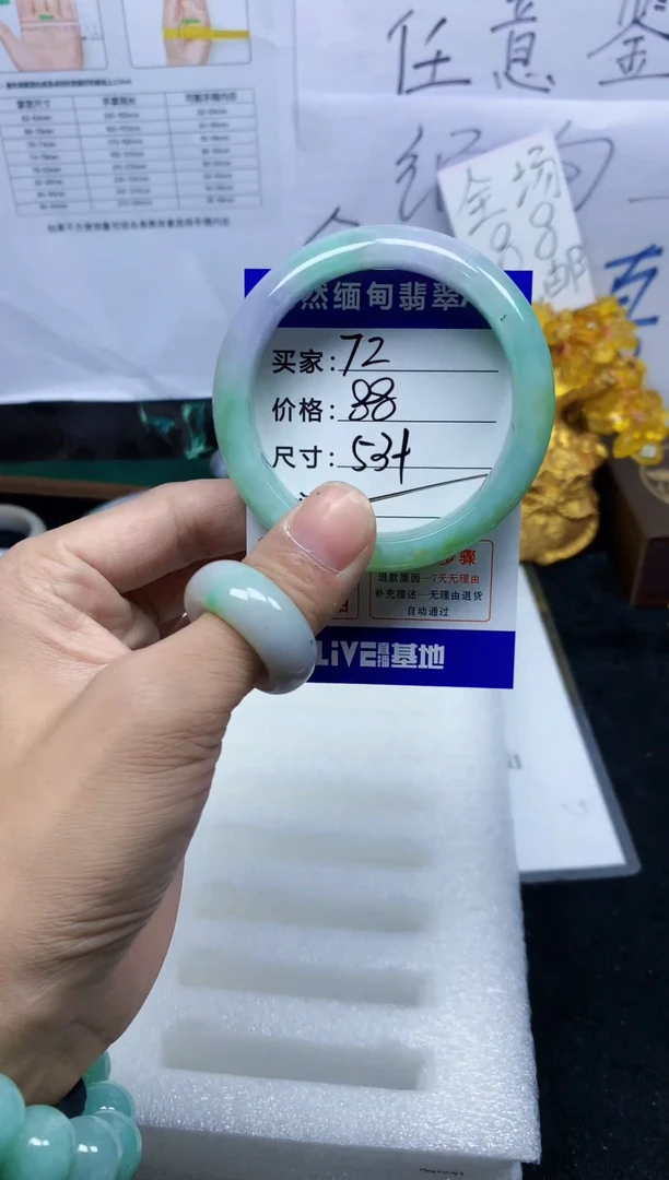 未镶嵌手镯翡翠72