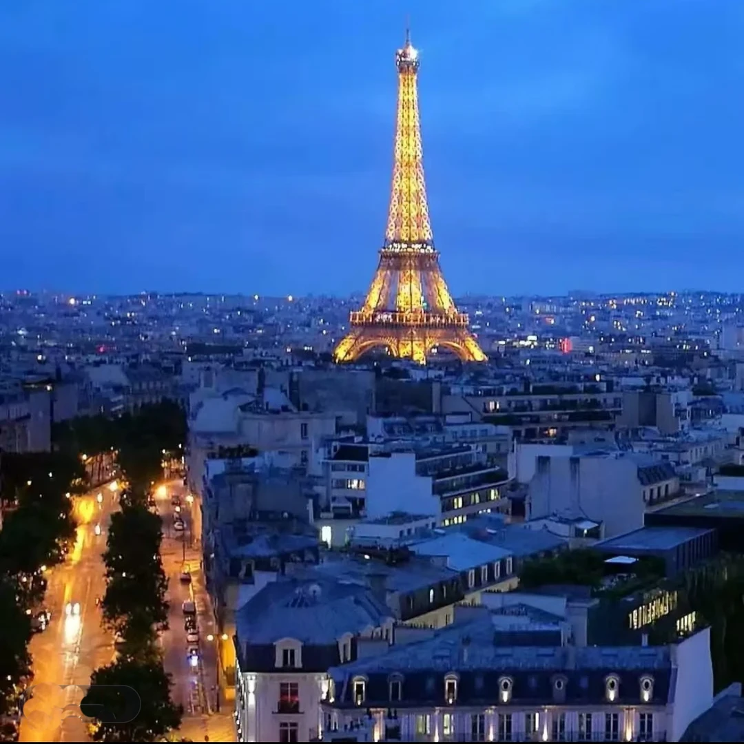 小恶鱼短袖T恤刺绣轻奢高品质纯棉圆领半袖时尚简约潮流经典百搭