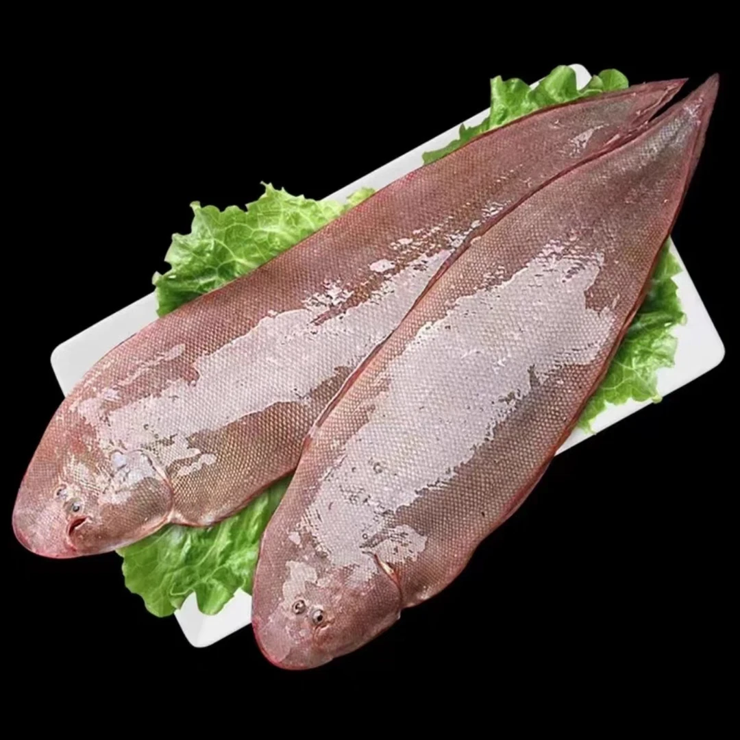 龙利鱼 踏板鱼 鳎目鱼，肉质鲜嫩 一根刺