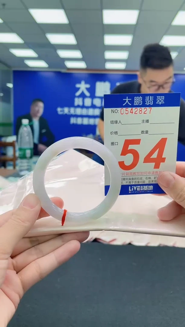 未镶嵌手镯翡翠AAAAAAAAA