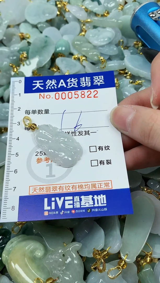 颈饰未镶嵌翡翠纯天然a货翡翠