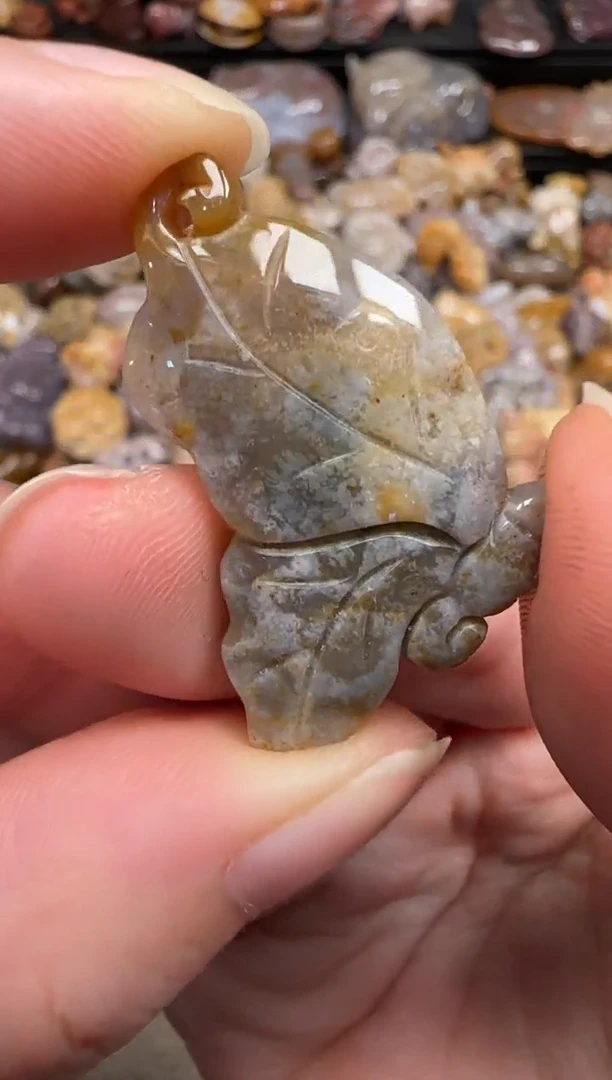 硅化珊瑚（珊瑚玉）未镶嵌颈饰070