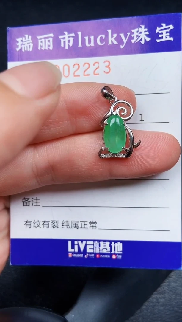 翡翠银S925镶嵌颈饰2223