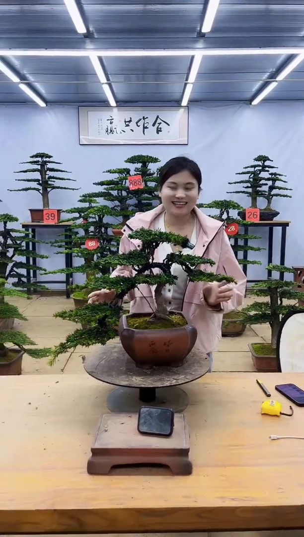 一物一拍，所见即所得