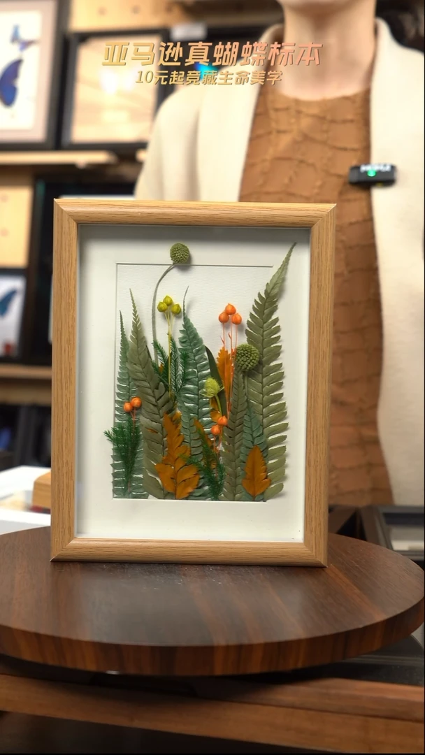 干制植物标本摆件春