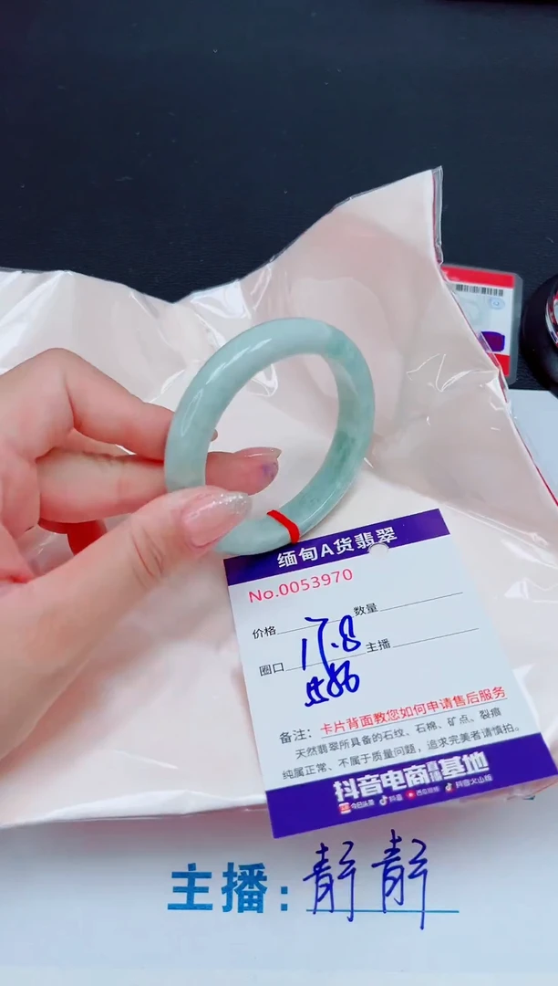 未镶嵌手镯翡翠11111