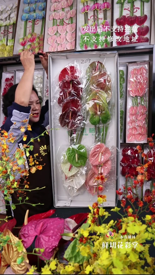 203混色彩掌18支大掌，微瑕无售后