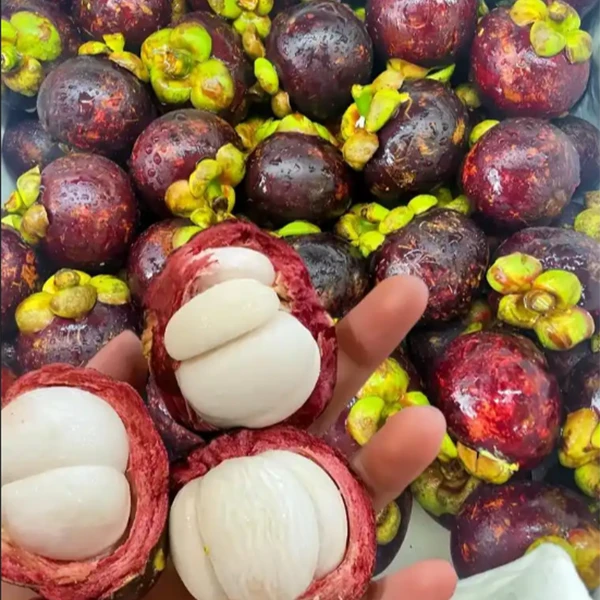 【散装】【N/Y】【好吃的山竹】（份/3斤左右）仅限太原六城区榆次可拍