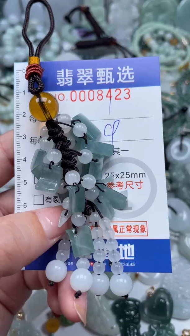 翡翠未镶嵌颈饰00..8423