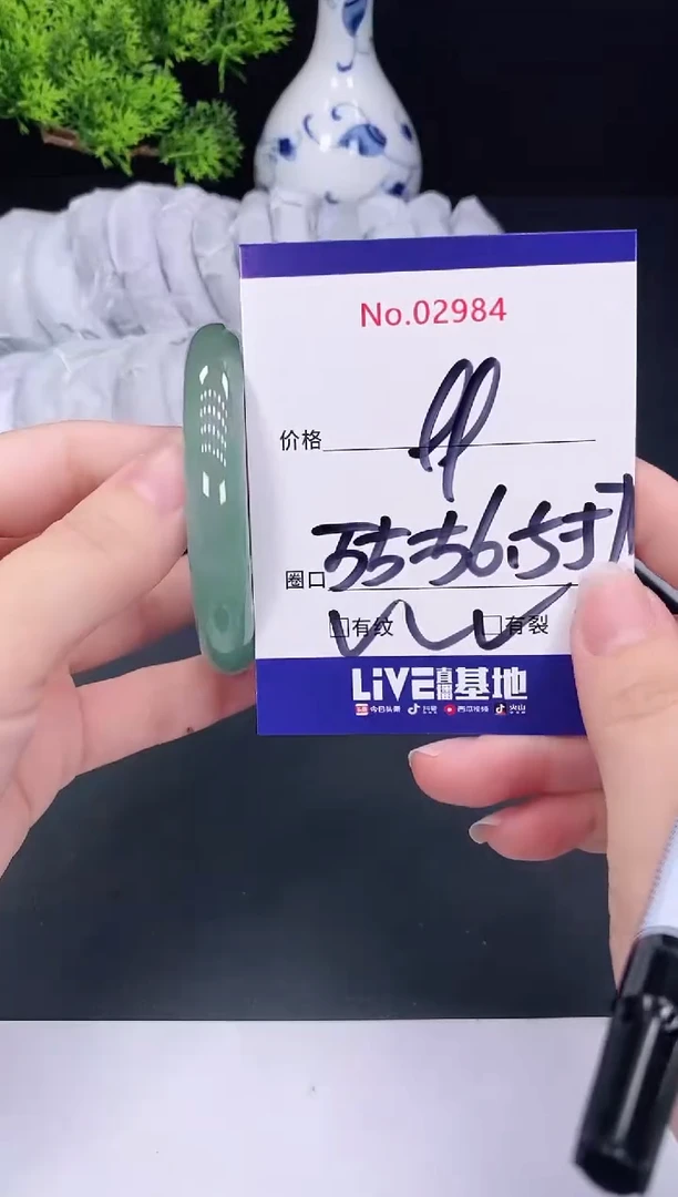 未镶嵌手镯翡翠2984