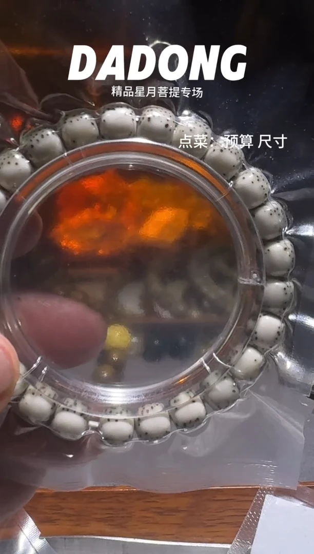 星月菩提吊坠T***O绿背河豚