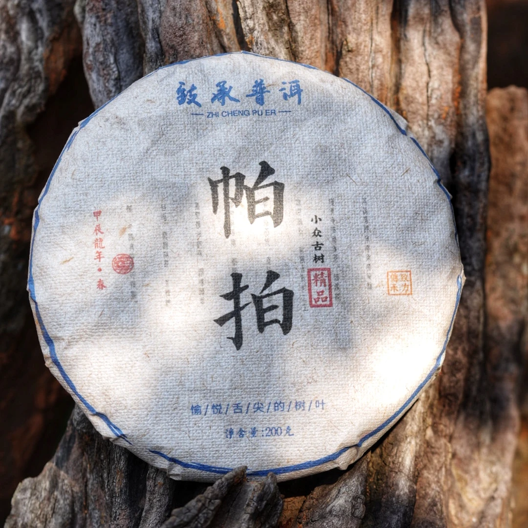 帕拍古树丨临沧2024年云南普洱生茶（古树头春头采）200克饼茶