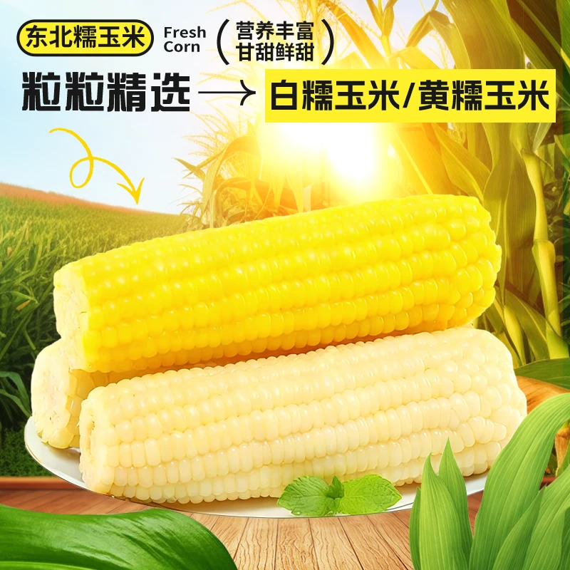 2025东北粘糯玉米香甜软糯早餐速食代餐支持试吃一根