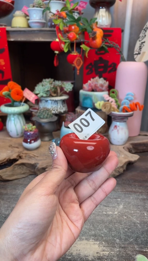 【闪购商品】摆件007知木小芳花盆