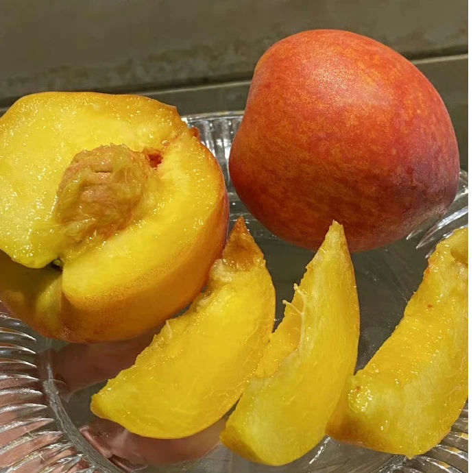 湖北枣阳彩虹黄桃新鲜现摘包邮