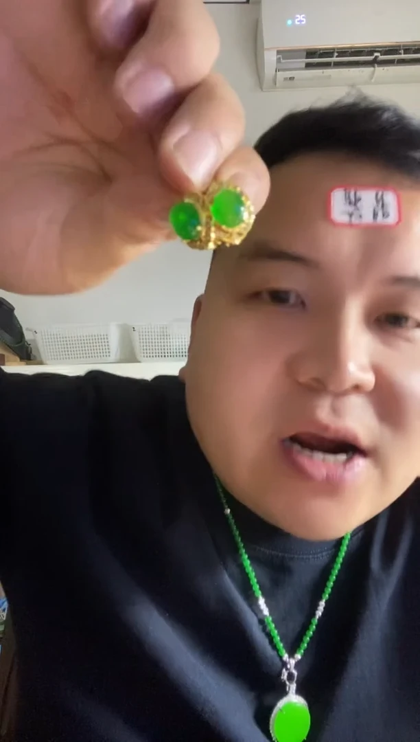翡翠14K金镶嵌颈饰168耳钩