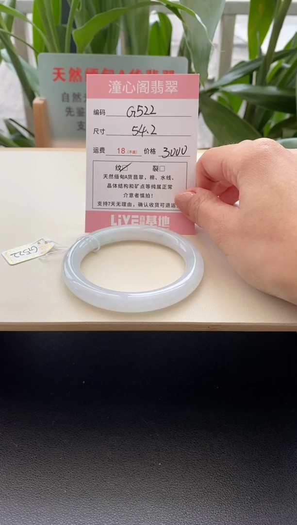 未镶嵌手镯翡翠54.2圈口编码g522
