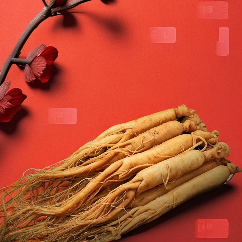 精品长白鲜货保鲜人参煲汤泡酒健康滋补 D