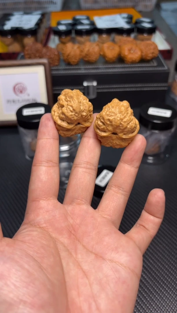 文玩核桃把件173蛤蟆头