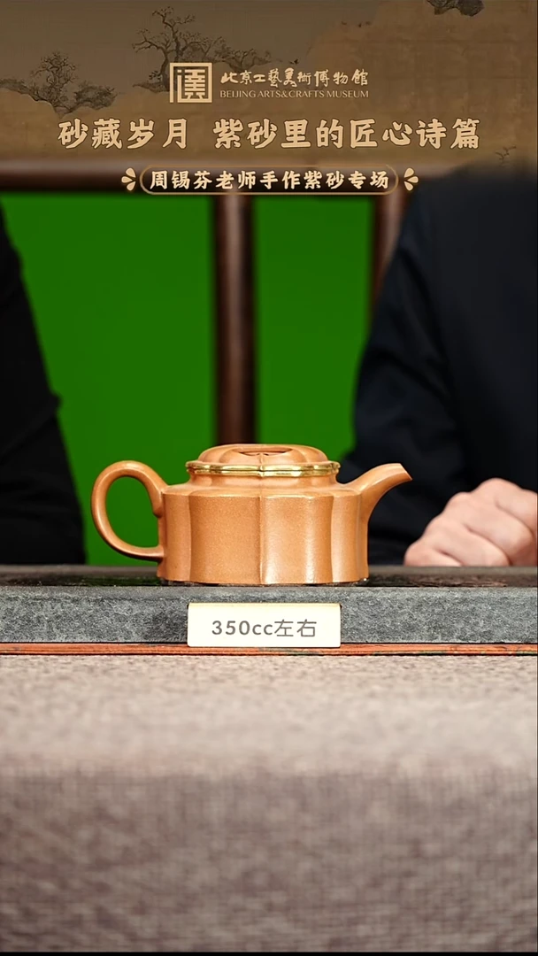 宜兴紫砂茶壶茶壶47