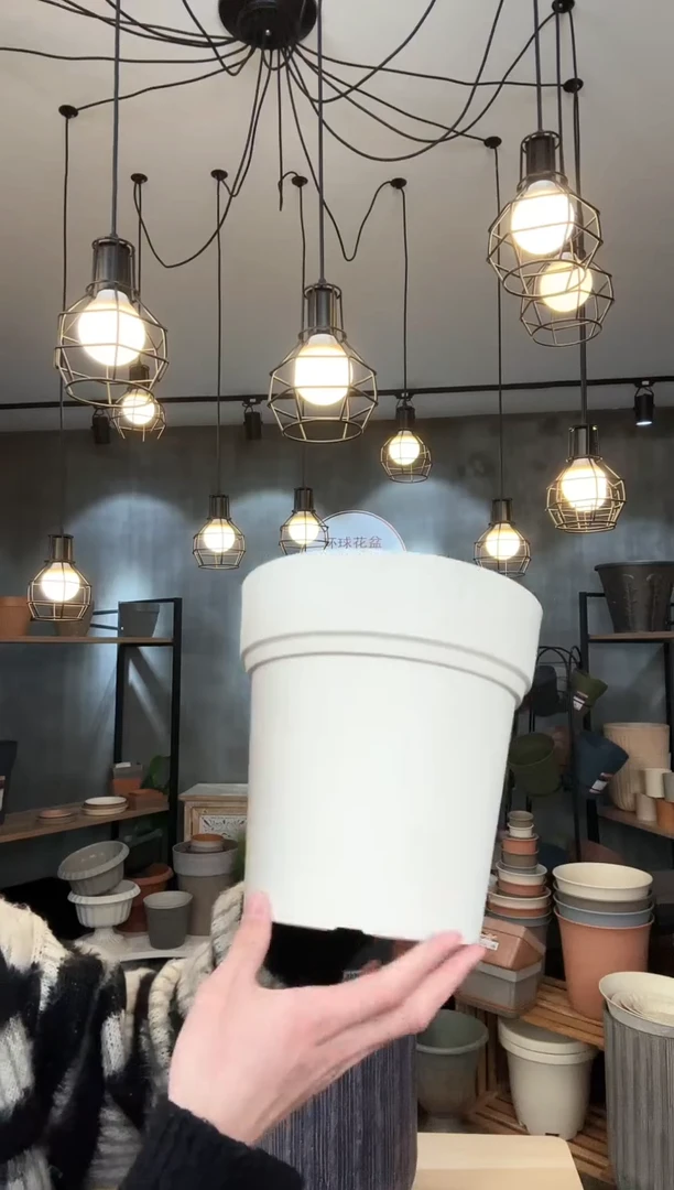 【闪购商品】塑料佛蒙特220白色50只