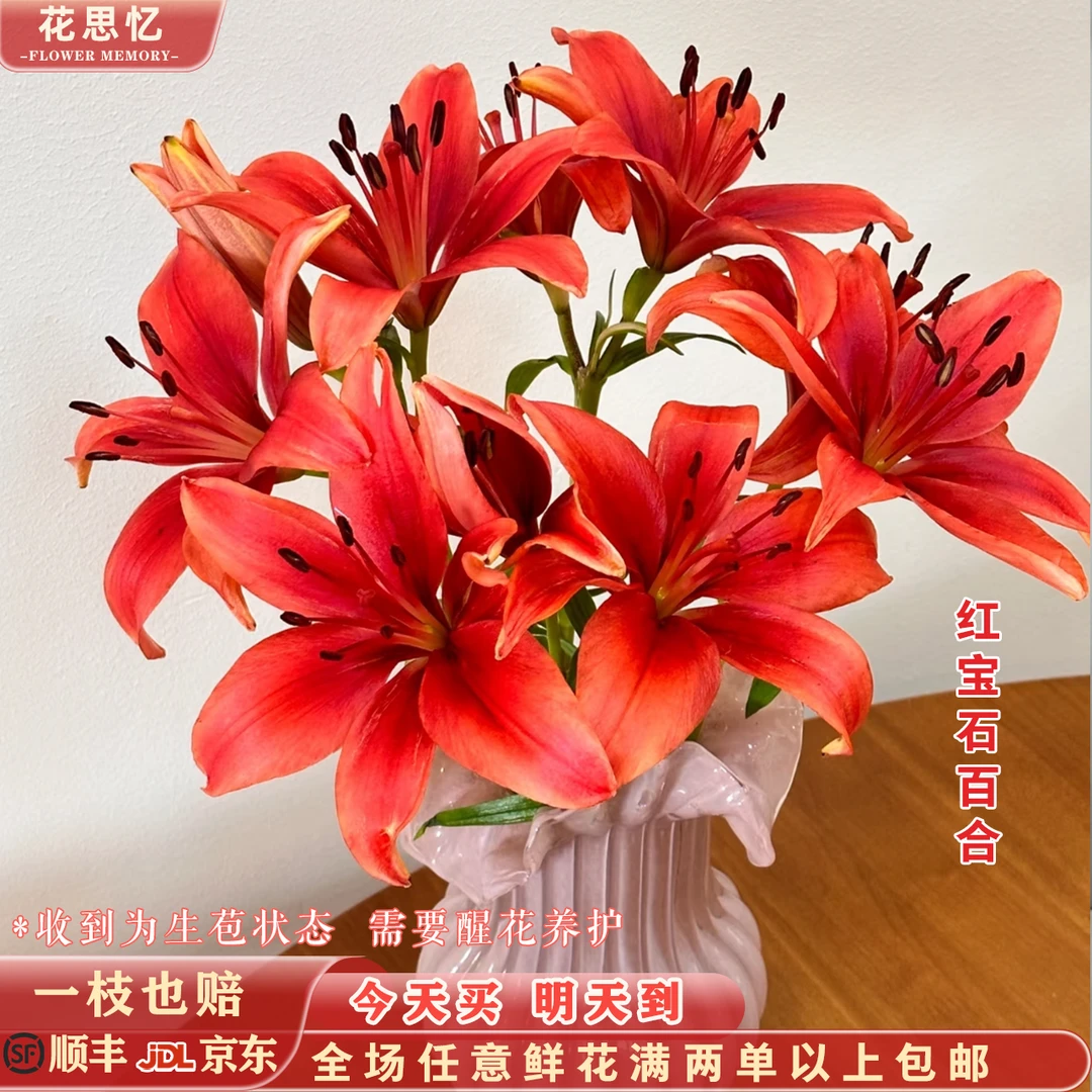 『次日达·红宝石百合8-9朵』不少于两枝 全场满两单鲜花顺丰京东包邮 三单鲜花送玻璃花瓶一个鲜花直播批发